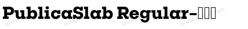 PublicaSlab Regular字体转换
